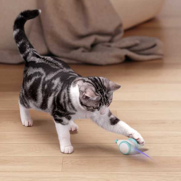 Remote-Controlled Mouse от Petlibro