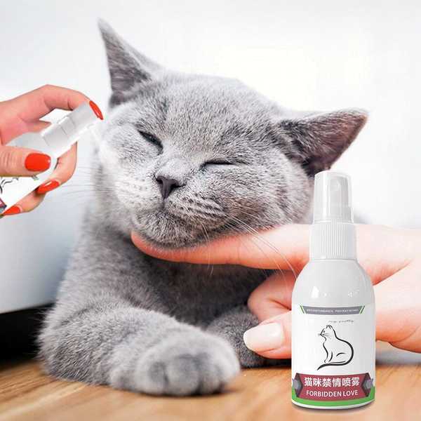 Феромоны для кошек Феромоны для кошек